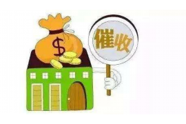 新城新城的要账公司在催收过程中的策略和技巧有哪些？